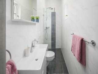 Villa Sveti Lovreč Labinski Kenmerken 11