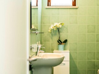 Parco vacanze San Felice del Benaco Caratteristiche 18