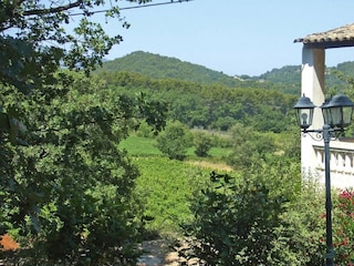 Ferienhaus Ménerbes Außenaufnahme 3