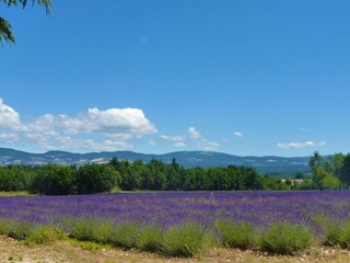 Casa per le vacanze Ménerbes Ambiente 24