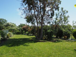 Vakantiehuis Saumane-de-Vaucluse Buitenaudio-opname 10