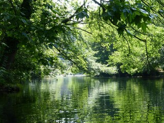 Maison de vacances Saumane-de-Vaucluse Environnement 23