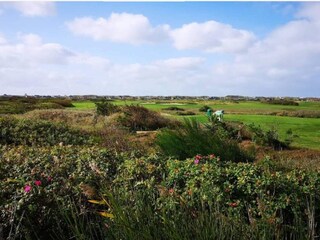 Vakantiehuis Søndervig  20