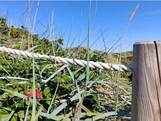 Casa per le vacanze Søndervig  13