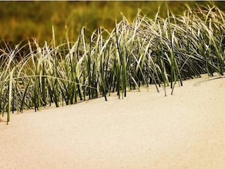 Ferienhaus Søndervig  16