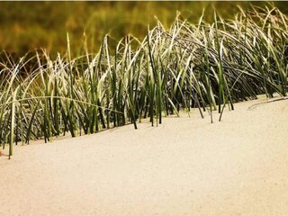 Vakantiehuis Søndervig  33