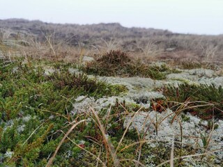 Casa de vacaciones Søndervig  5