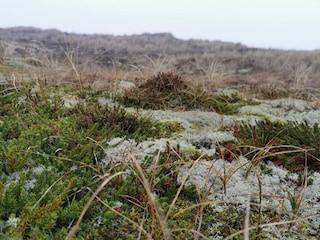 Holiday house Søndervig  16