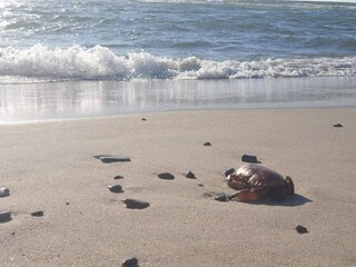 Casa de vacaciones Søndervig  27