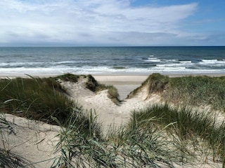 Ferienhaus Søndervig  38