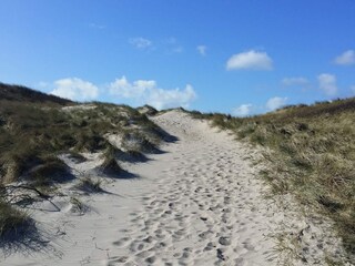 Vakantiehuis Søndervig  5