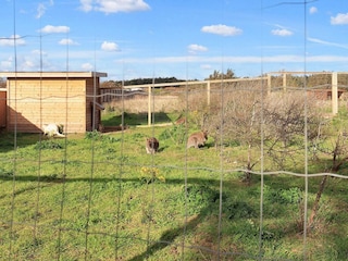 Ferienhaus Løkken  11