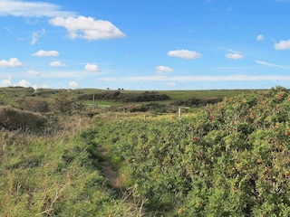 Ferienhaus Løkken  4