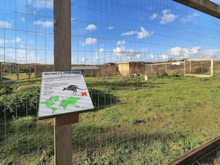 Ferienhaus Løkken  13