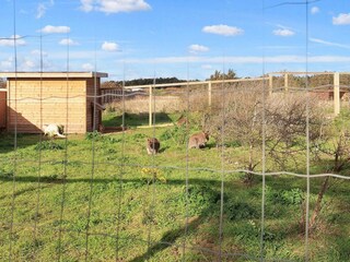 Maison de vacances Løkken  13