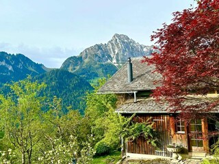 Chalet Rougemont Buitenaudio-opname 4