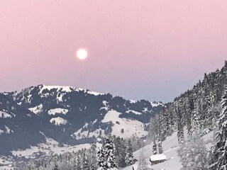 Chalet Rougemont Entorno 29