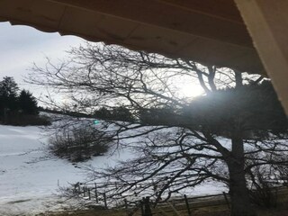 Chalet Rougemont Entorno 33