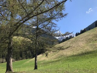 Chalet Rougemont Entorno 34