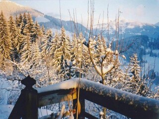Chalet Zweisimmen Entorno 38