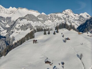 Apartment Saanen Environment 26
