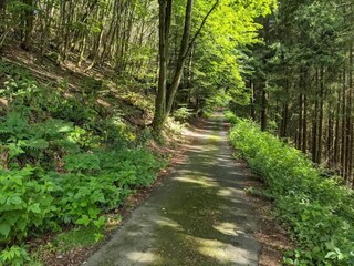 Apartment Winterberg Umgebung 28