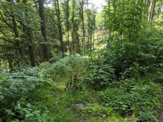 Apartment Winterberg Umgebung 18