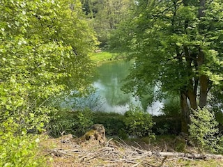 Apartment Winterberg Umgebung 23