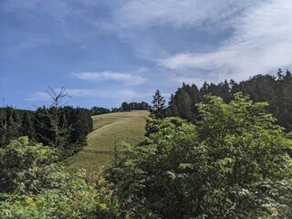 Appartement Winterberg Omgeving 19