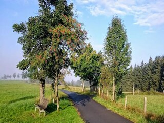 Appartamento Winterberg Ambiente 38