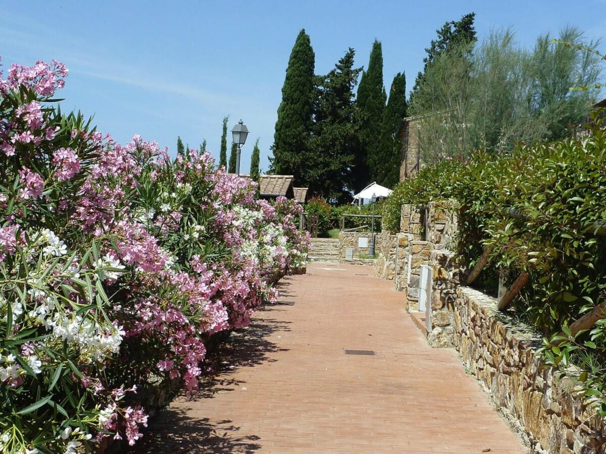 Ferienpark Suvereto Außenaufnahme 16