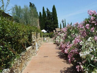 Vakantiepark Suvereto Buitenaudio-opname 3
