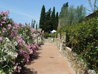 Parc de vacances Suvereto Enregistrement extérieur 28