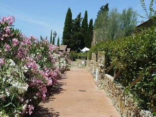 Parc de vacances Suvereto Enregistrement extérieur 4