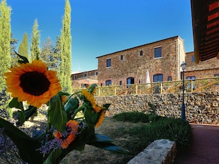 Parque de vacaciones Suvereto Grabación al aire libre 8