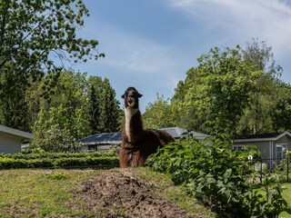 Parc de vacances De Bult  21