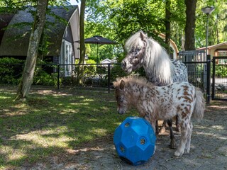 Ferienpark De Bult  19