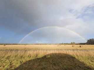 Holiday house Frederikshavn  4