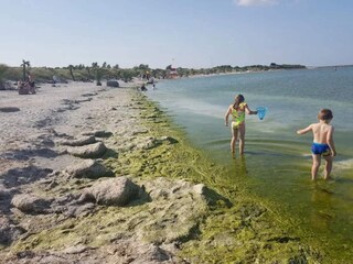 Casa de vacaciones Frederikshavn  7