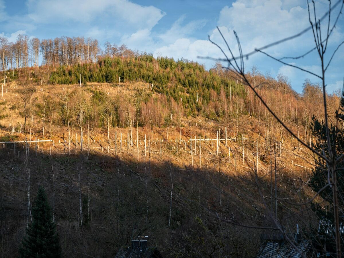 Ferienhaus Elleringhausen (Twistetal) Umgebung 27