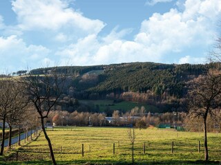 Vakantiehuis Elleringhausen (Twistetal) Omgeving 29