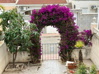 Casa per le vacanze Rojales Registrazione all'aperto 2