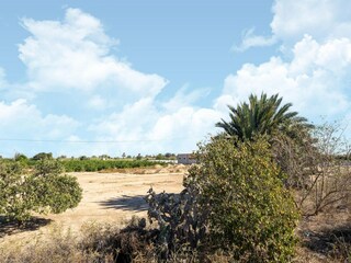 Vakantiehuis Rojales Omgeving 33