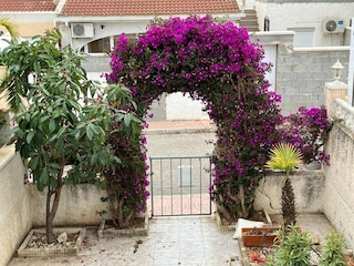 Holiday house Rojales Features 22