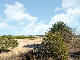 Vakantiehuis Rojales Omgeving 34