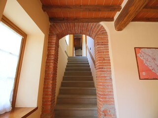 Fattoria Chiassa Superiore Caratteristiche 25