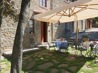 Fattoria Chiassa Superiore Registrazione all'aperto 2