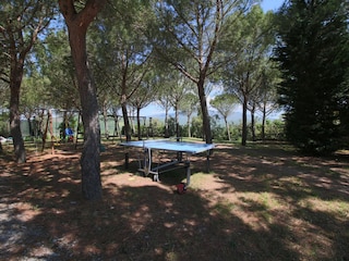 Boerderij Chiassa Superiore  33