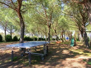 Boerderij Chiassa Superiore Buitenaudio-opname 11