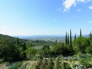 Farmhouse Chiassa Superiore Environment 32